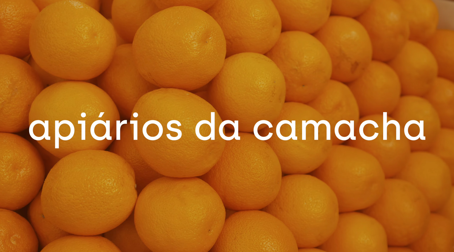 Apiários da Camacha